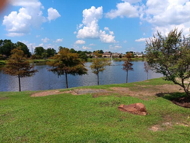 Building Photo - 10002 Blissfull Valley Ln