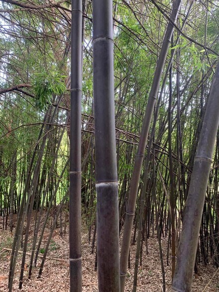 Building Photo - 49 Duke St