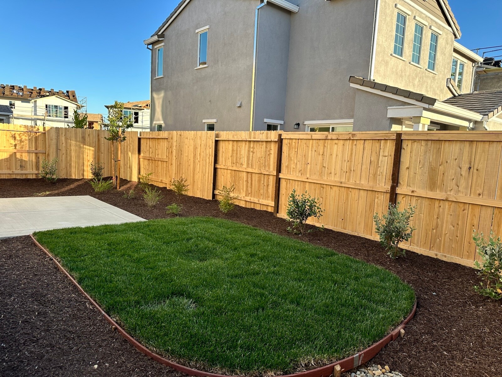 Backyard - 3475 Williamson Dr