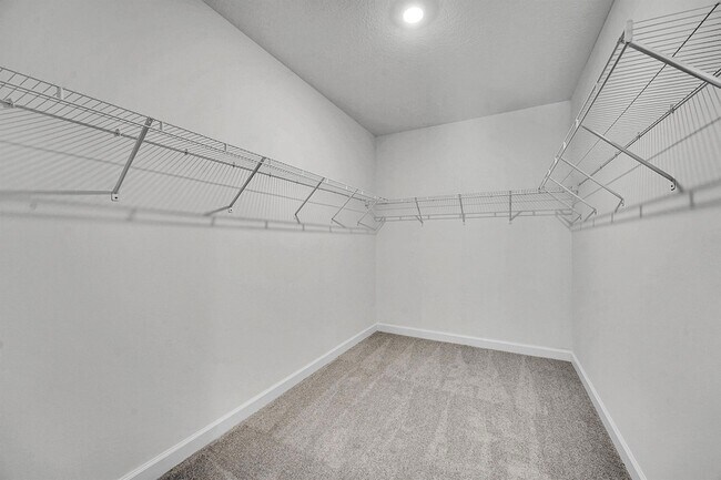 Building Photo - 3443 Cedar Grove Drive