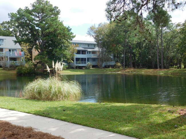 Building Photo - 1201 Harbourside Dr