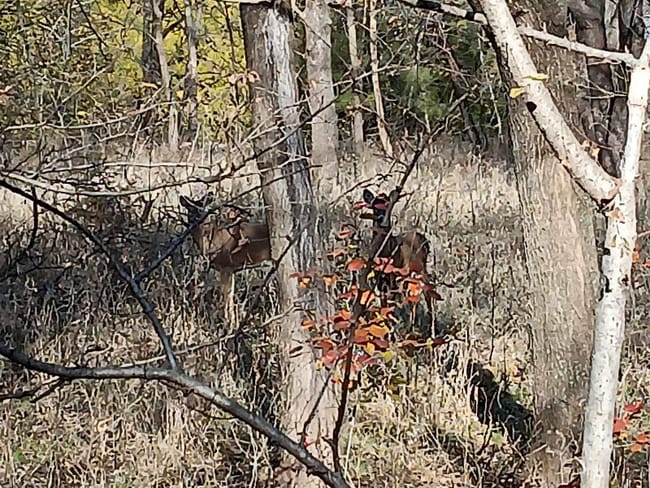 Building Photo - 2421 S Yellowstone St