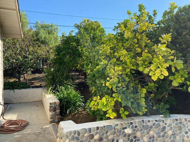 Building Photo - FLEXIBLE FULLY FURNISHED Point Loma Home! AC! All Utilities Included!