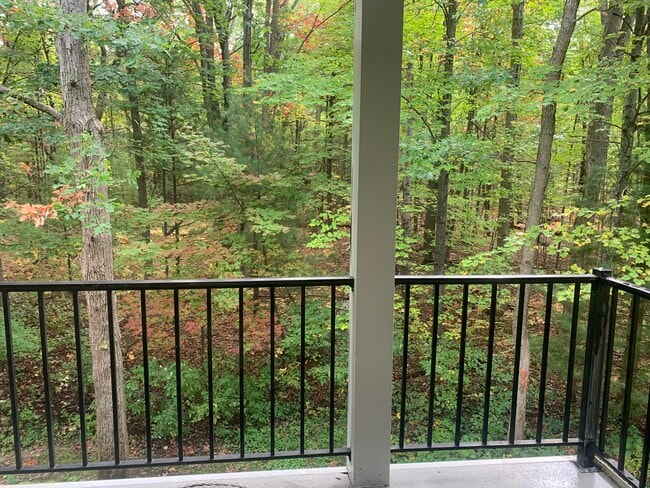 balcony - 4244 Mitchell Creek Dr