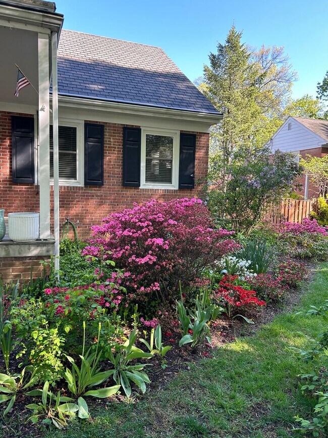 Building Photo - Wyomissing Schools Rental