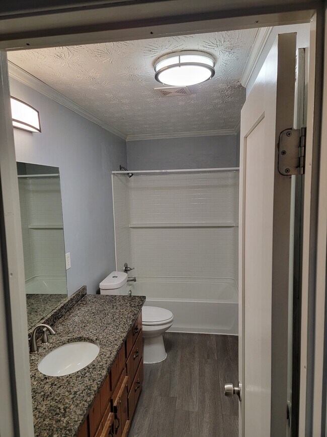 Hallway Bathroom - 255 Rocky Ridge Dr