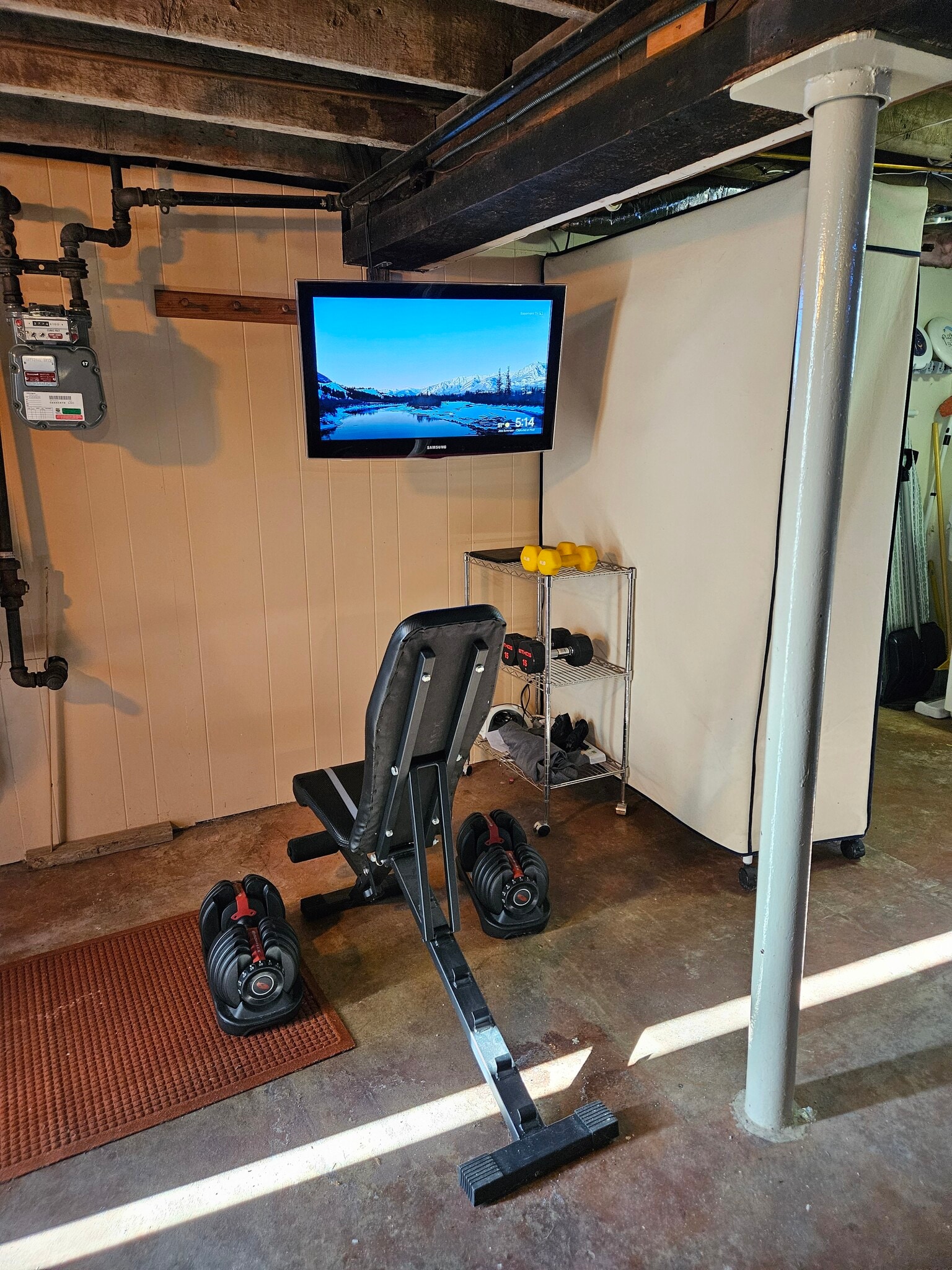 basement workout corner - 151 Walsh St