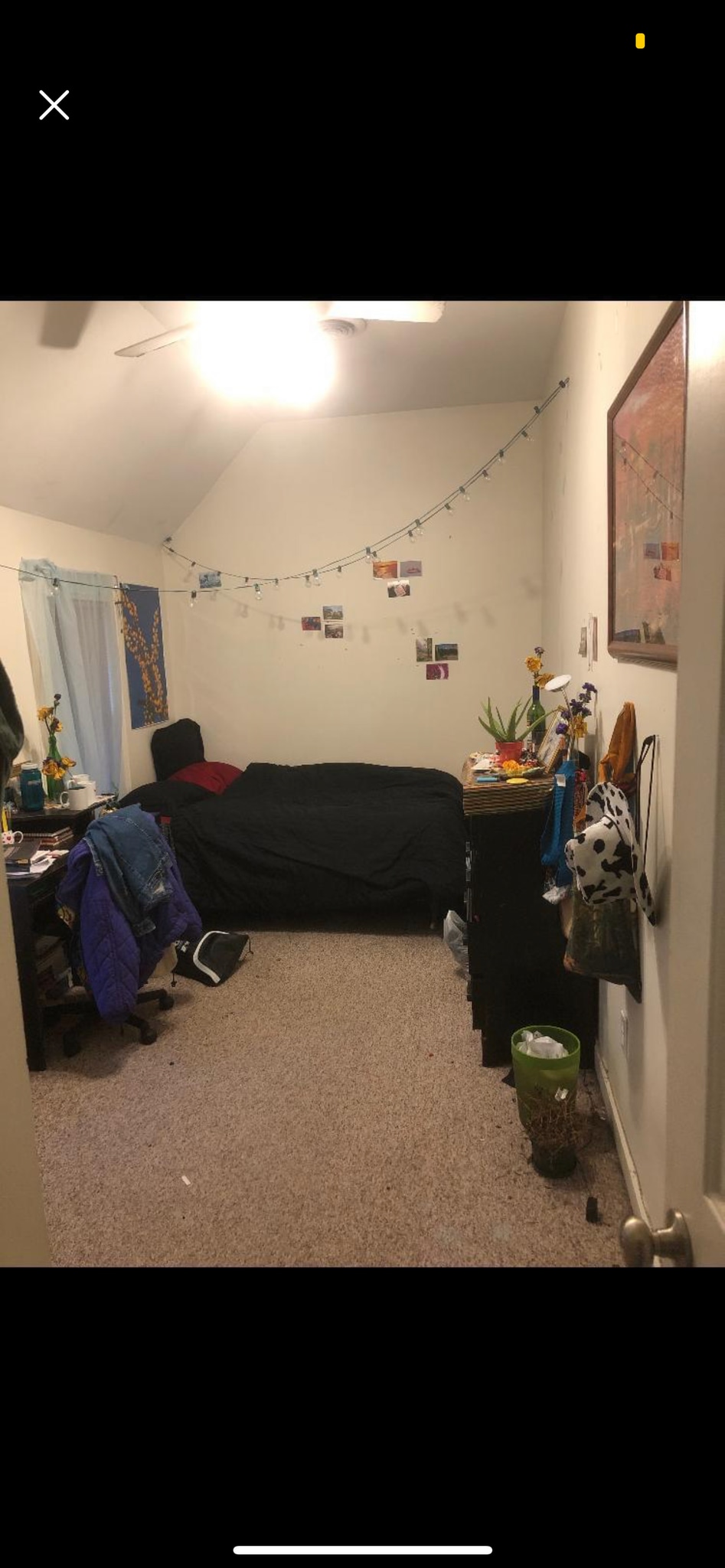 Building Photo - 13 Walnut St