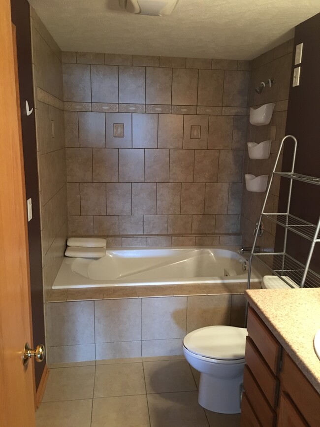 Bathroom and whirlpool tub in lower level (no shower) - 2804 Porter Ridge Rd