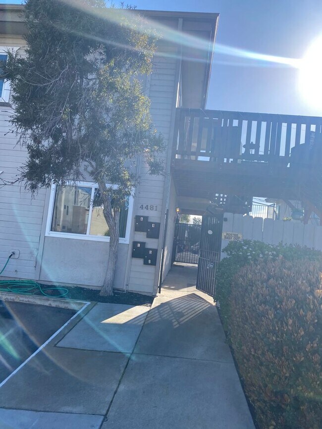 4481mont 4481 Montalvo St San Diego CA 92107 Apartment Finder