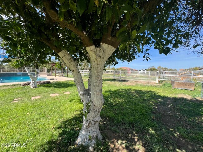 Building Photo - 17218 E Starflower Ct