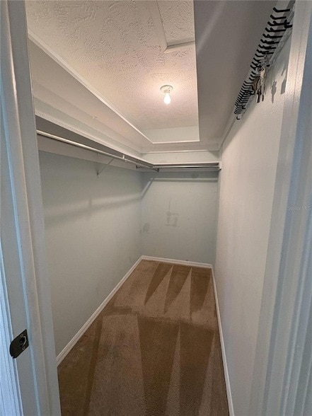 Building Photo - 1008 Lady Guinevere Dr