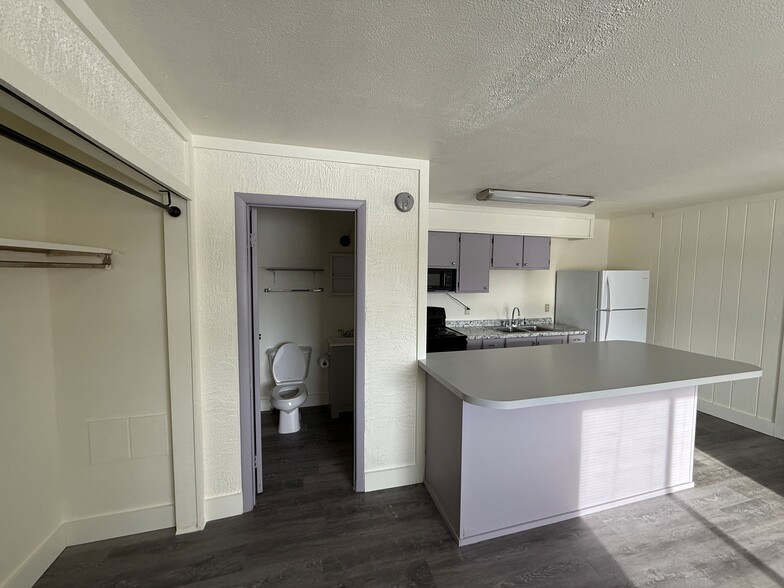 Studio APT 3 Kitchen and Bathroom - Hillside Apartments