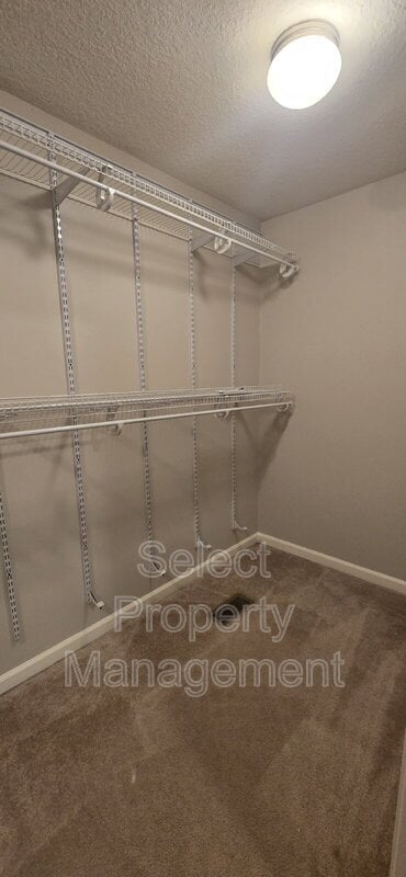 Building Photo - 2702 Ascension Ct