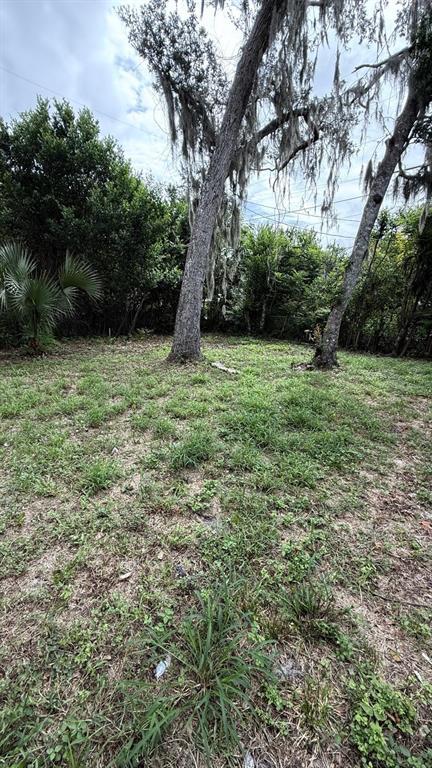 Building Photo - 611 Westmoreland Rd