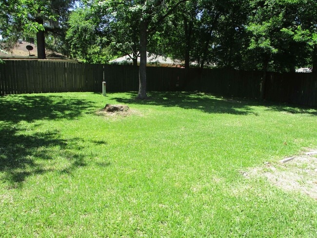 Building Photo - A walk in the Park