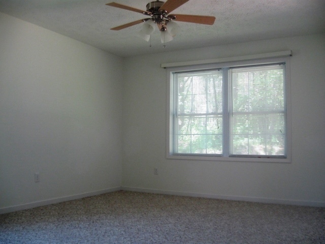Building Photo - 247 Daniel Boone Dr Ext