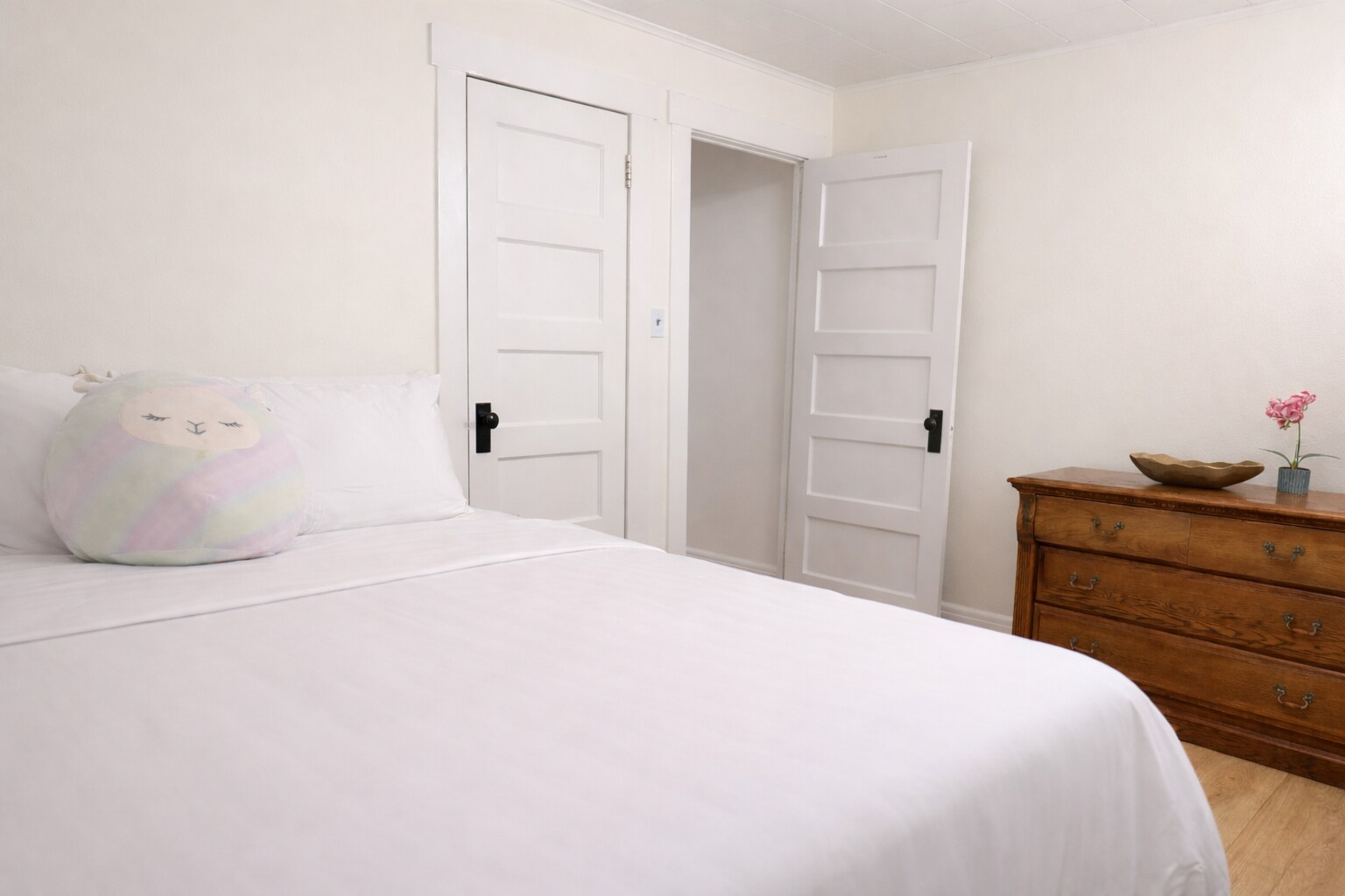 Master Bedroom - View 2 - 131 Livingston Ave