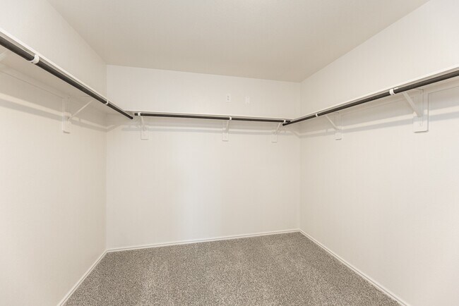 Building Photo - 3826 Matias River Ct