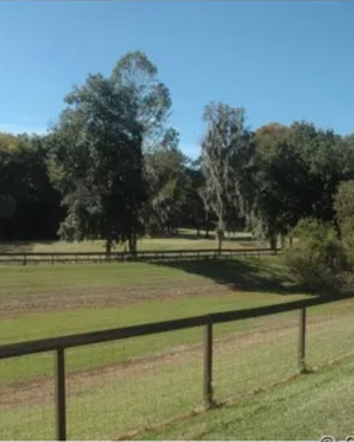 View from the back patio - 3144 NW 105th Dr