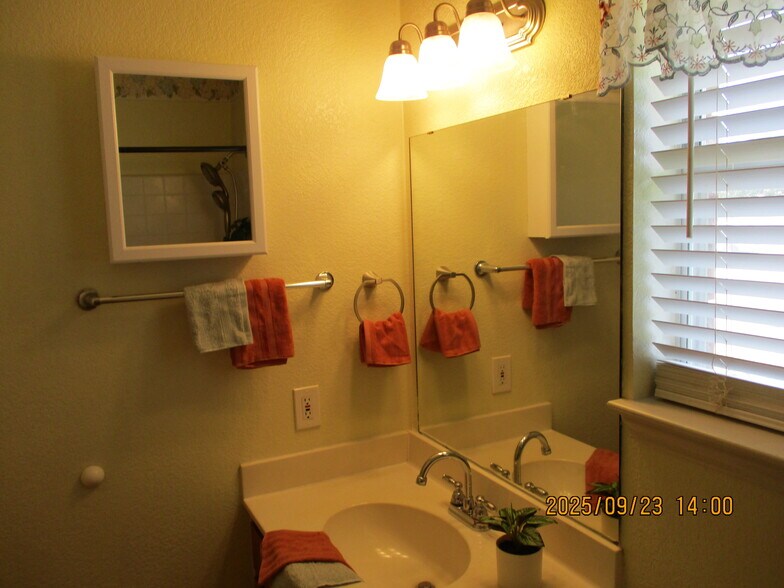 Building Photo - 163 Armadillo Ln