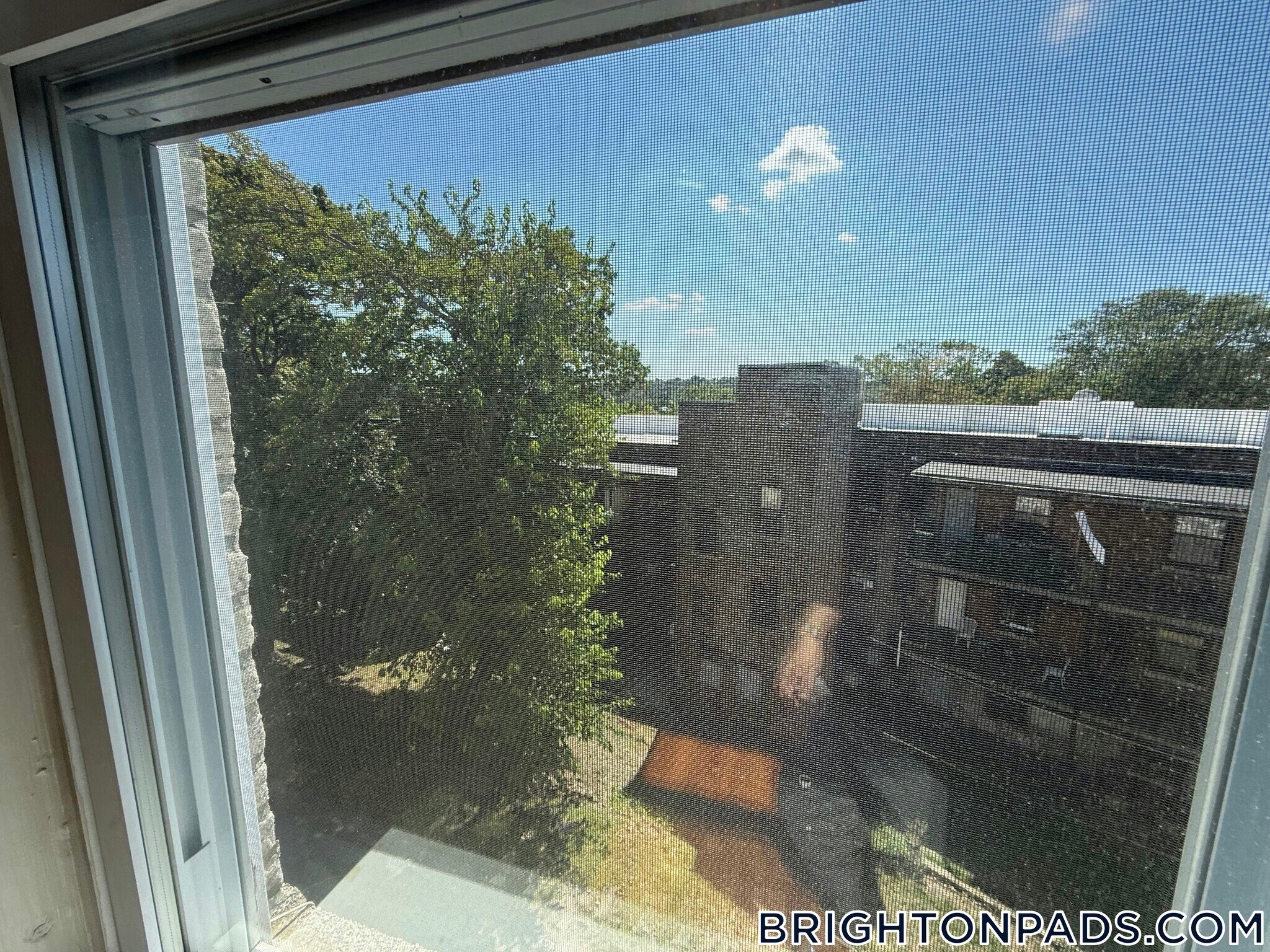 Building Photo - 9 Egremont Rd