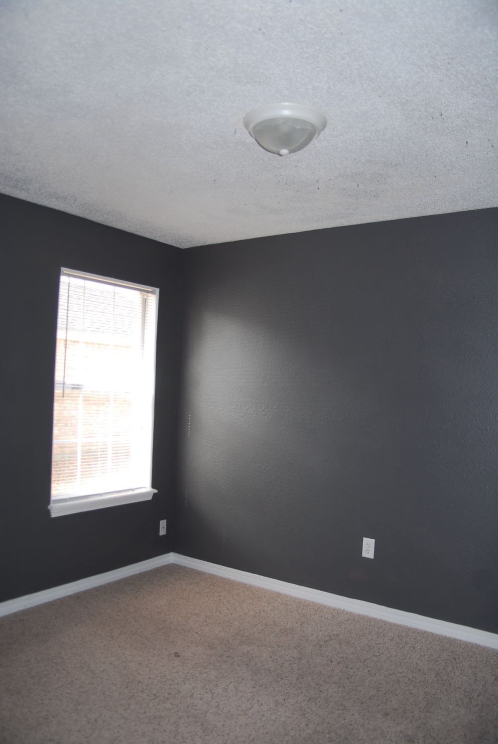 Building Photo - 14486 Williamsburg Dr