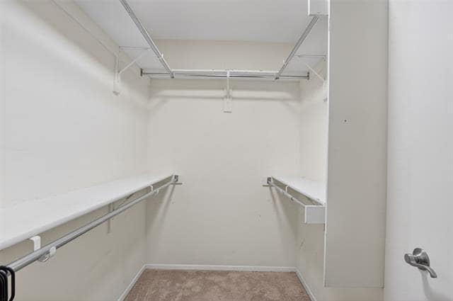 Building Photo - 1425 Anthony St