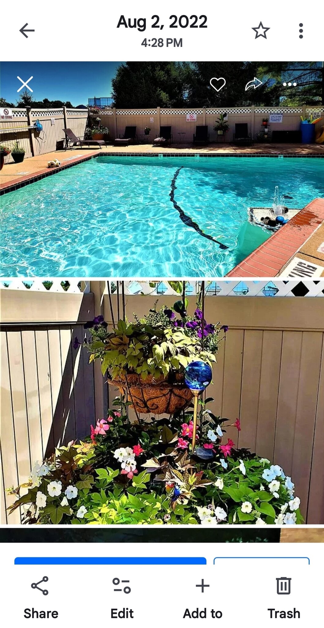 Pool area - 950 E Rue de la Banque