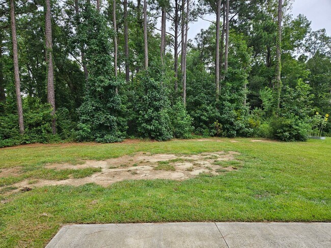 Building Photo - Charming 3-bedroom, 2-bathroom unfurnished home - No HOA - Sneads Ferry