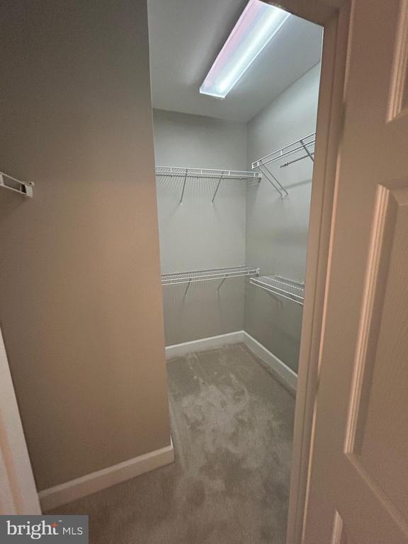 Building Photo - 2400 Brookmoor Ln