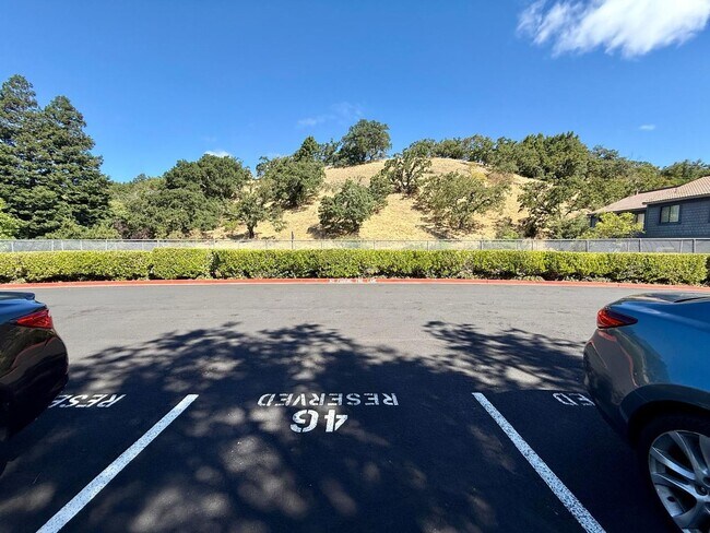 Building Photo - SPACIOUS 3 BED  2.5 BATH END UNIT TOWNHOME IN SAN MARIN VALLEY