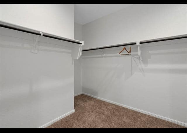 Building Photo - 8624 Caldera Ln