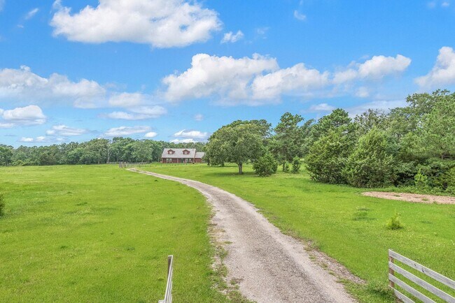 Building Photo - 10 acres with 3/2 cabin for rent in Navaso...