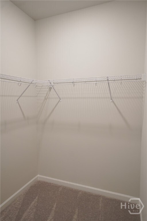 Building Photo - 111 Saltgrass Ln