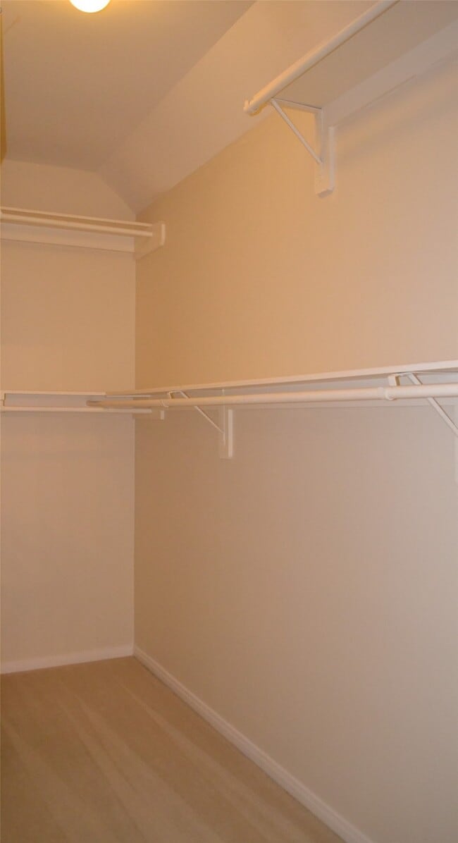 Building Photo - 3003 Terrace Hills Ln