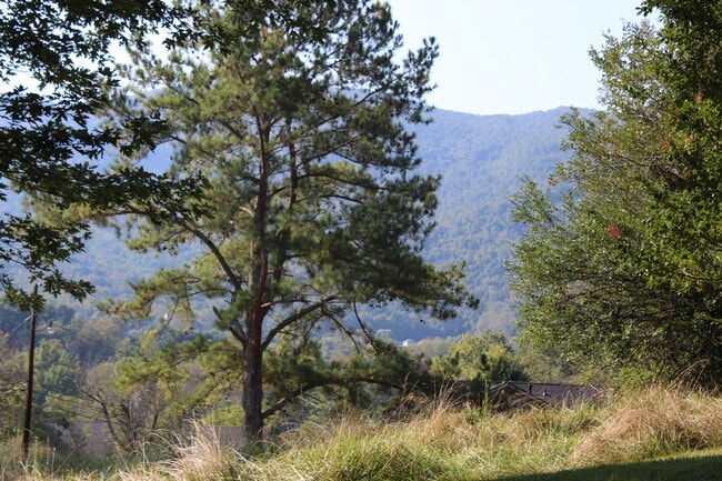 View towards the main road - 133 Rockdale Ave