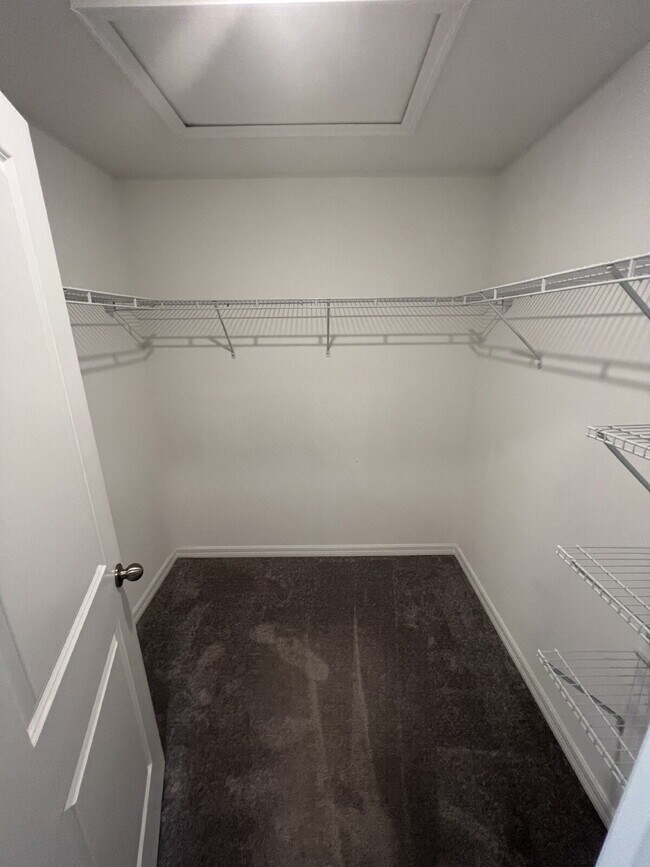 Building Photo - 4540 Globe Thistle Dr