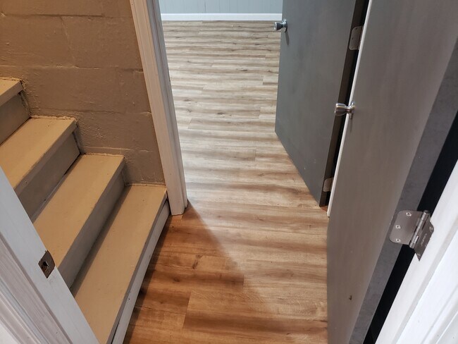 basement entrance - 411 W Linden Ave