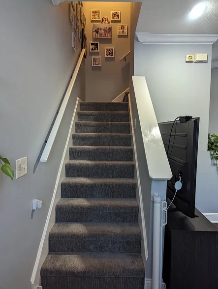 Building Photo - 3046 Pointeview Dr