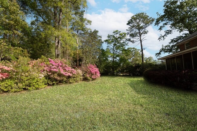 Building Photo - Available Now!