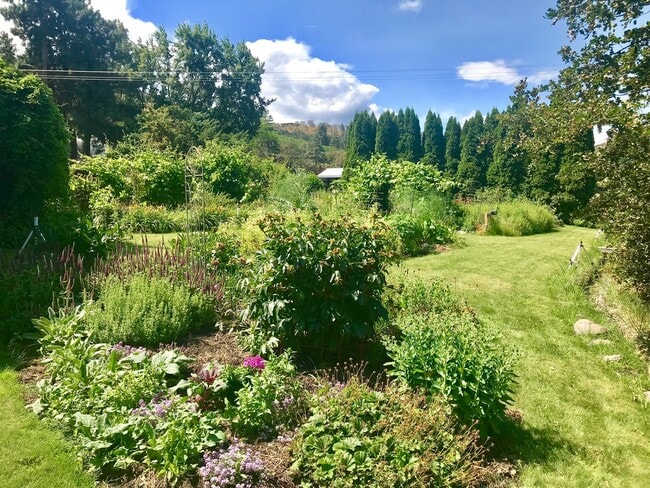 Building Photo - Country Home!