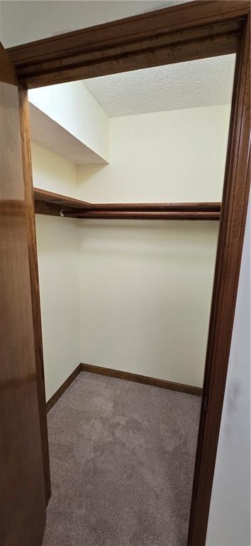 Building Photo - 303 Cacique Ct
