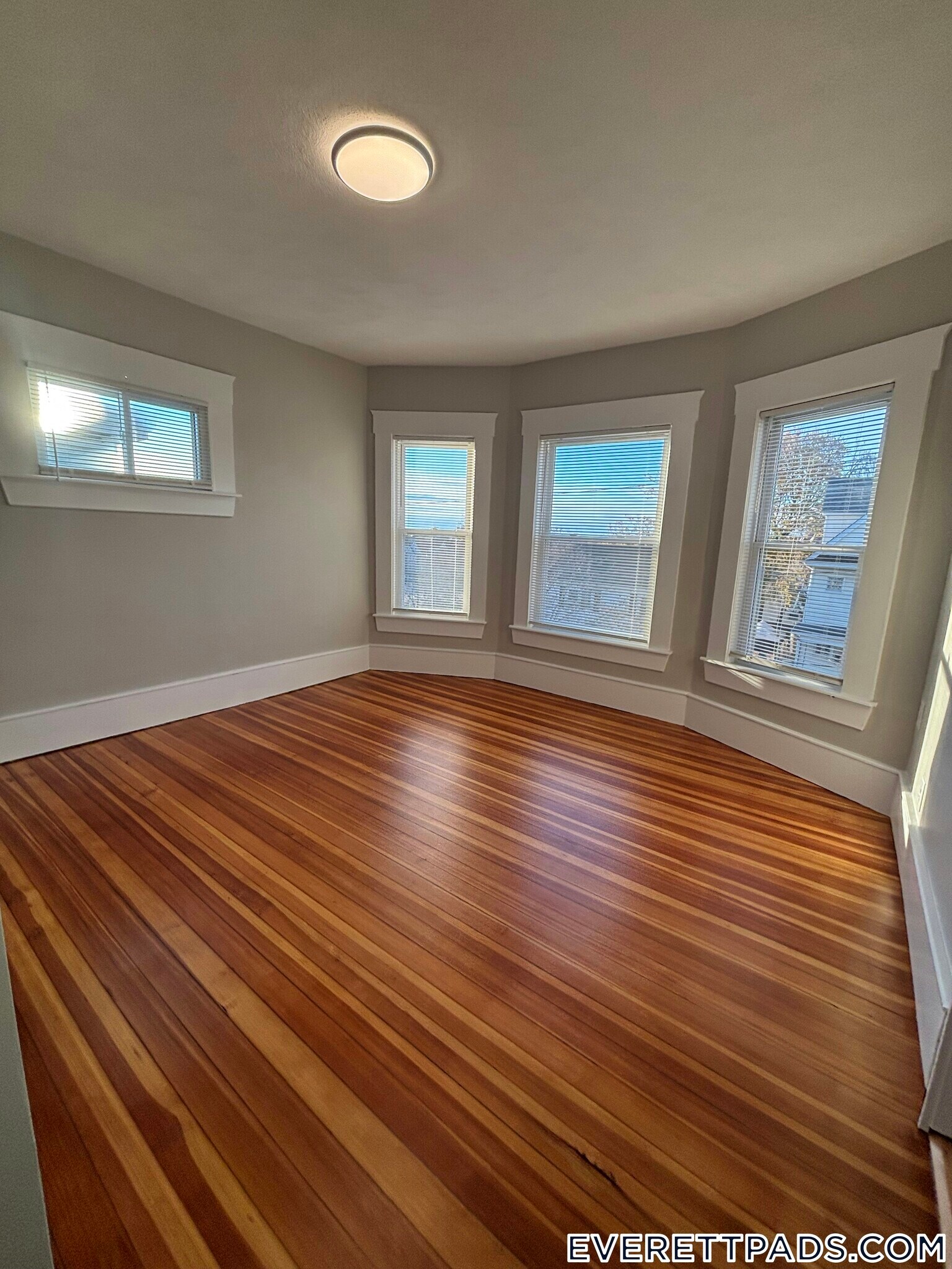 Building Photo - 85 Swan St