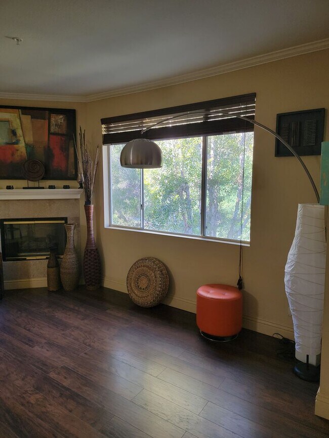 Building Photo - FURNISHED  1 bed/ 1 bath updated home in Aliso Viejo w/Fireplace