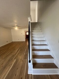 Building Photo - Now Available!