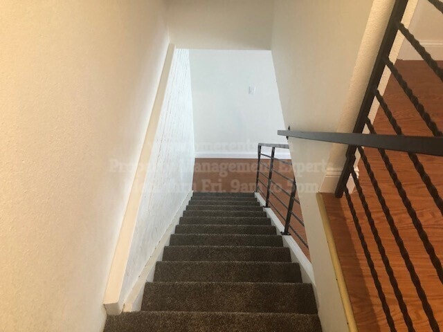 Building Photo - 1235 Pinetree Dr