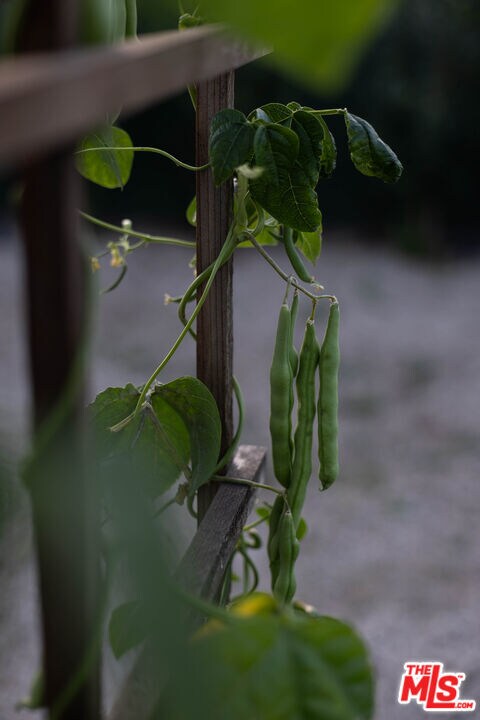 Building Photo - 6101 S Mansfield Ave