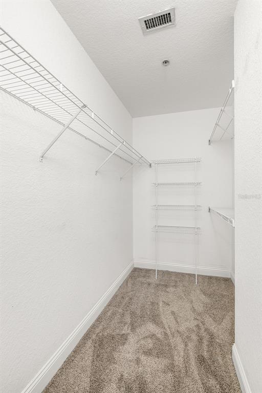 Building Photo - 109 S Bradford Bch Ct