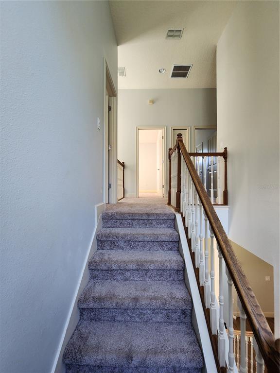 Building Photo - 3348 Cat Brier Tr